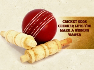 To Learn More About Cricket Odds Bet
