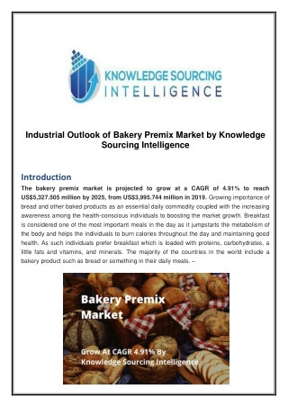 Industrial Outlook of Bakery Premix Market by Knowledge Sourcing