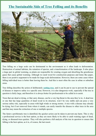 The Sustainable Side of Tree Felling and its Benefits