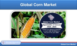 Global Corn Market Forecast By Production, Export & Import