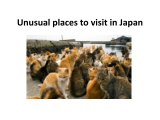 Unusual places to visit in Japan