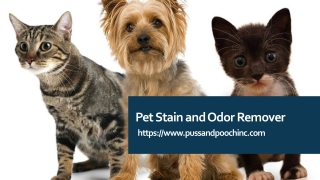 Pet Stain and Odor Removerr