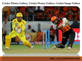 Cricket Image Gallery, Free Cricket Images only on Cricketnmore.com