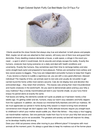 BrightColoredStylishFluffyCatBedMadeOutOfFauxFur