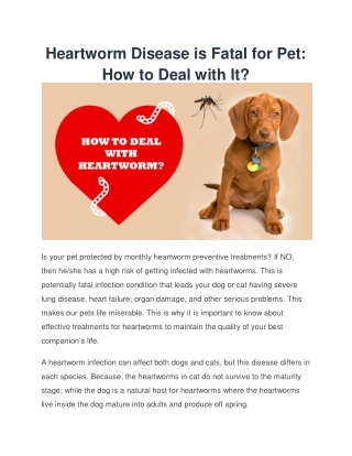 How to Deal with Heartworm disease in pets