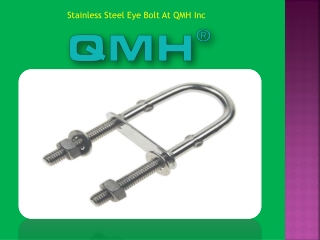 Stainless Steel Eye Bolt At QMH Inc