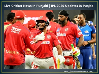 Live Cricket News in Punjabi and Punjabi IPL News 2020 from Cricketnmore
