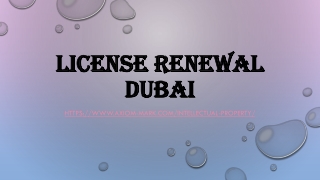 License Renewal Dubai