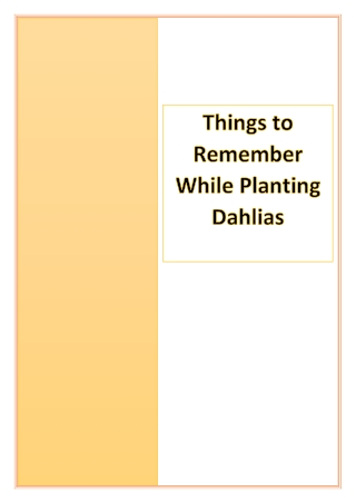 Things to Remember While Planting Dahlias