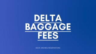 Delta Airlines Baggage Policy Charges and Allowance