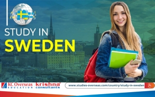 Swedish Higher Education: Know Why is it in Demand