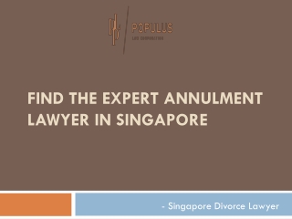 Annulment Lawyer in Singapore