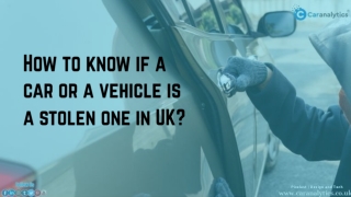 How to manage to spot a stolen car in Great Britain using the registration number?