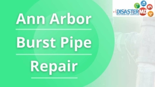 Call Disaster MD for Burst Pipe Repair in Ann Arbor