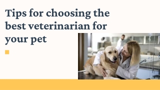 Tips for choosing the best veterinarian for your pet