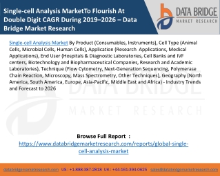 Single-cell Analysis Market To Flourish At Double Digit CAGR During 2019–2026 – Data Bridge Market Research