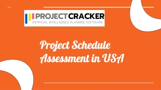 Project Schedule Assessment in USA