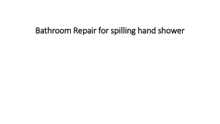Bathroom Repair for spilling hand shower