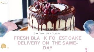 The Same-Day Cakes Delivery in Canada | Gift Delivery Canada | Free Shipping