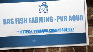 RAS Fish Farming -PVR AQUA