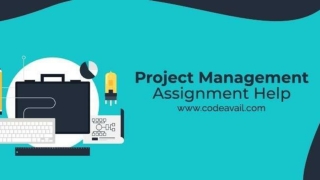 Project Management Assignment Help