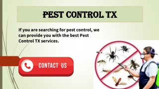 Contact Pest Control Cypress TX to remove Pests and bugs from your property