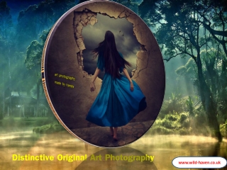 Distinctive Original Art Photography