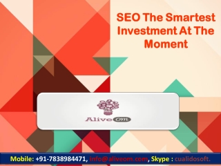 SEO The Smartest Investment At The Moment