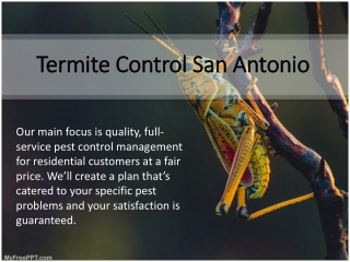 Termite Control San Antonio-Satxpest.com