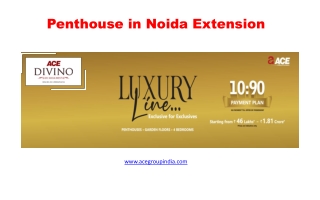 Penthouse in Noida Extension - ACE Divino