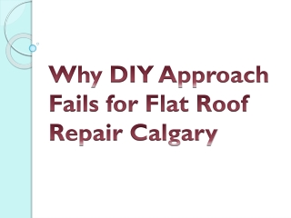 Why DIY Approach Fails for Flat Roof Repair Calgary