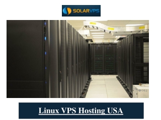 Linux VPS Hosting USA