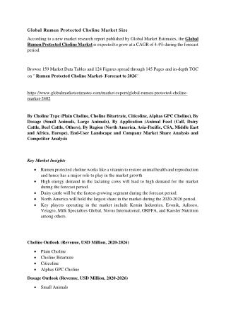 Rumen Protected Choline Market Size & Growth