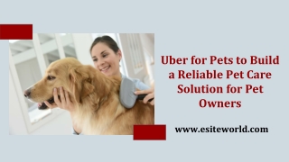 Uber for Pets to Build a Reliable Pet Care Solution for Pet Owners