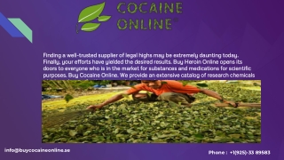 ald 52 buy | buy dmt online | pure peruvian coke