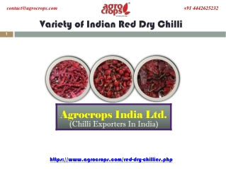 Variety of Indian Red Dry Chilli