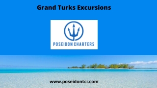 Grand Turks Excursions | Poseidon Charters