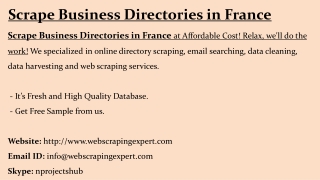 Scrape Business Directories in France