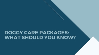 Doggy Care Packages: What Should You Know?