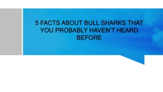 5 Facts About Bull Sharks That You Probably Haven't Heard Before