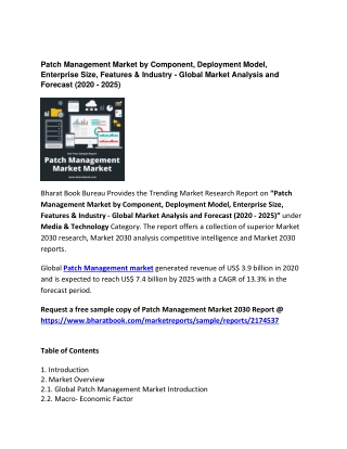 Global Patch Management Market Forecast to 2020-2025