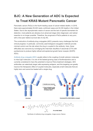 BJC A New Generation of ADC Is Expected to Treat KRAS Mutant Pancreatic Cancer