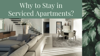 Why to stay in Serviced apartment