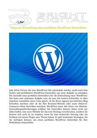 Tipps zur Einstellung eines perfekten WordPress Entwicklers