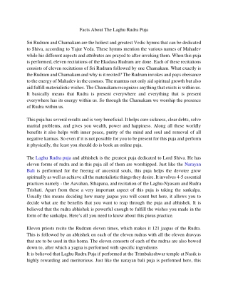 Facts About The Laghu Rudra Puja