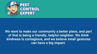 Affordable Pest Control Services - Pest Control Expert