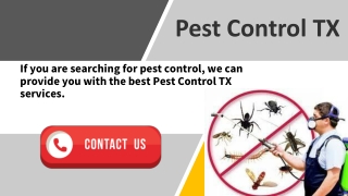 Contact Fox Pest Control Midland TX