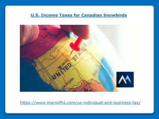 U.S. Income Taxes for Canadian Snowbirds