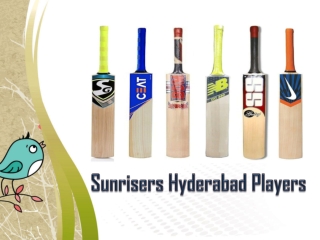 sunrisers hyderabad players, SRH versus DC review: Delhi Capitals