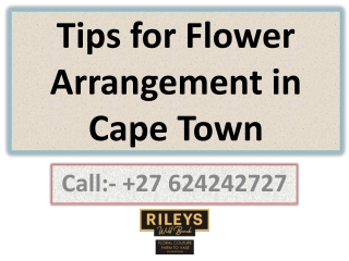 Tips for Flower Arrangement in Cape Town